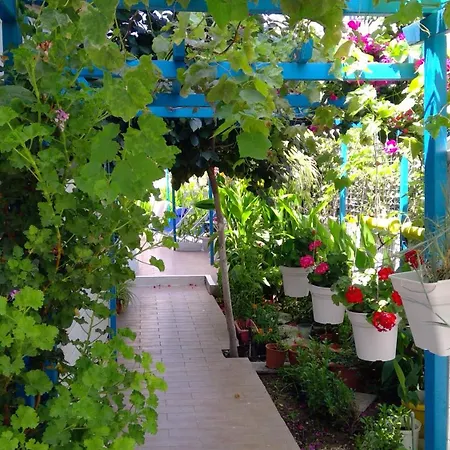 House Of Flowers Apartment *
