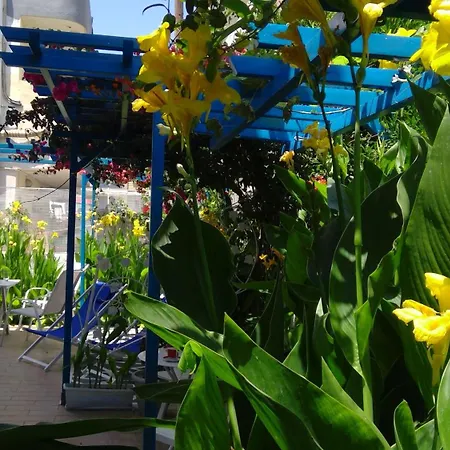 House Of Flowers Apartment Rhodes City